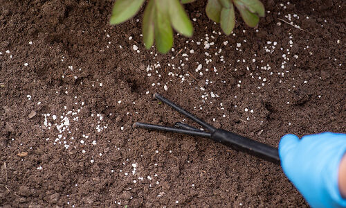 Fertiliser production and precursor inputs for CBAM evidence review