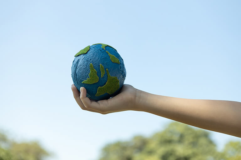 Net Zero Strategy